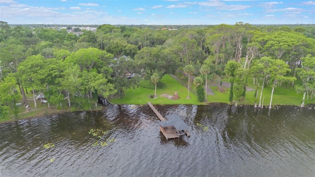2652 Lake Howell Ln, Winter Park, FL 32792 - photo 60