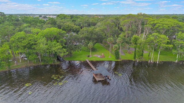 2652 Lake Howell Ln, Winter Park, FL 32792 - photo 59