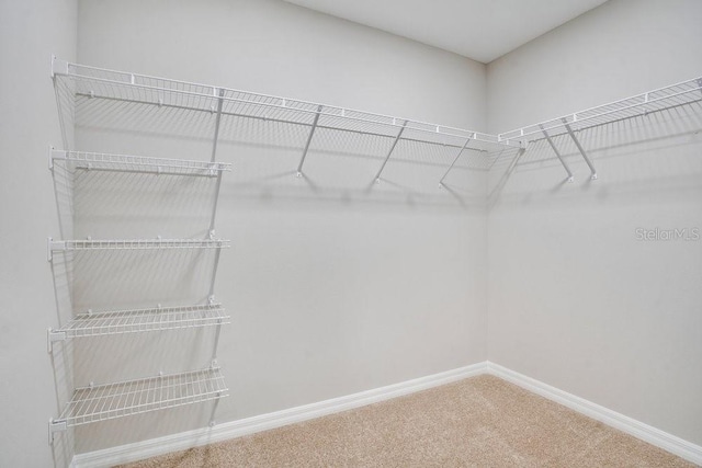 14495 SE 38th Ter, Summerfield, FL 34491 - photo 25
