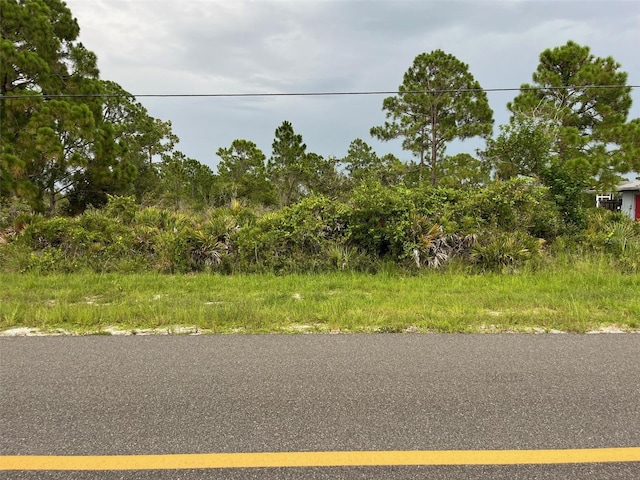 617 Washington Blvd, Lake Placid, FL 33852 - photo 1