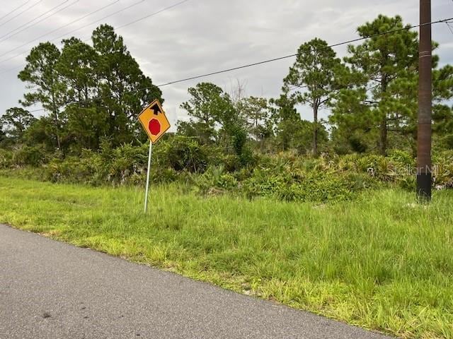617 Washington Blvd, Lake Placid, FL 33852 - photo 2