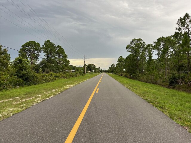 617 Washington Blvd, Lake Placid, FL 33852 - photo 7