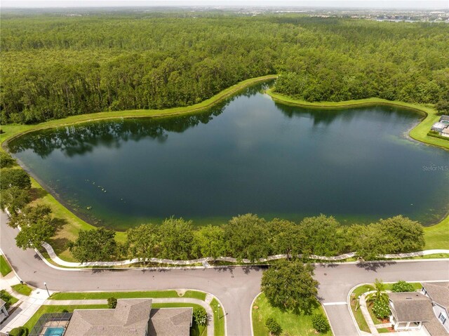 7214 Tattant Blvd, Windermere, FL 34786 - photo 38