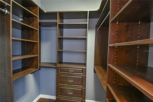 831 Corvina Dr, Davenport, FL 33897 - view of spacious closet