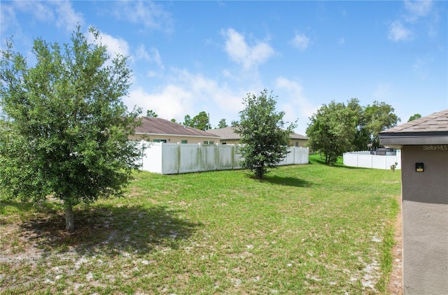 257 Fig Ct, Kissimmee, FL 34759 - view of yard