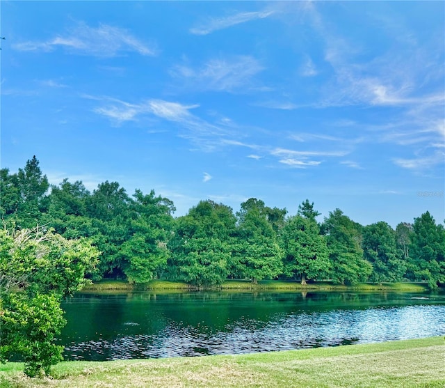 535 Aeolian Dr, New Smyrna Beach, FL 32168 - water view with a heavily wooded area