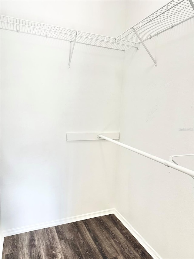 535 Aeolian Dr, New Smyrna Beach, FL 32168 - spacious closet with dark wood-style flooring