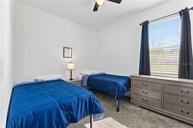 3123 Camden Way, Davenport, FL 33837 - bedroom with carpet floors and a ceiling fan