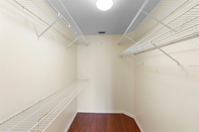 40 Hollow Pine Dr, Debary, FL 32713 - spacious closet with wood finished floors