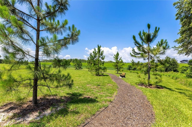 744 Curly Locks Loop, Apopka, FL 32703 - view of home's community with a yard and a view of rural / pastoral area