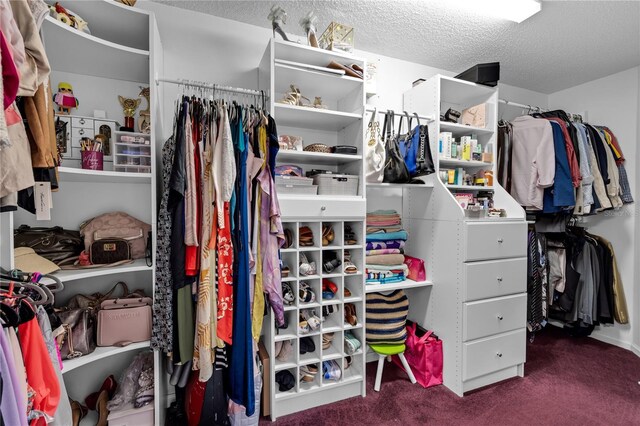 19367 NW 13th St, Pembroke Pines, FL 33029 - walk in closet featuring carpet