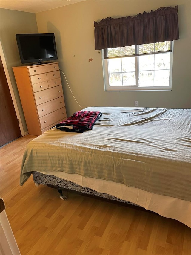 4713 9th St E, Ellenton, FL 34222 - bedroom with light wood-style flooring