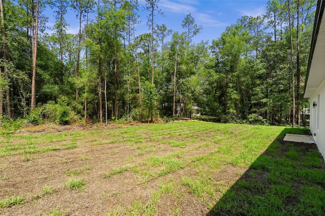 10290 N Biscayne Dr, Citrus Springs, FL 34434 - view of yard featuring a view of trees