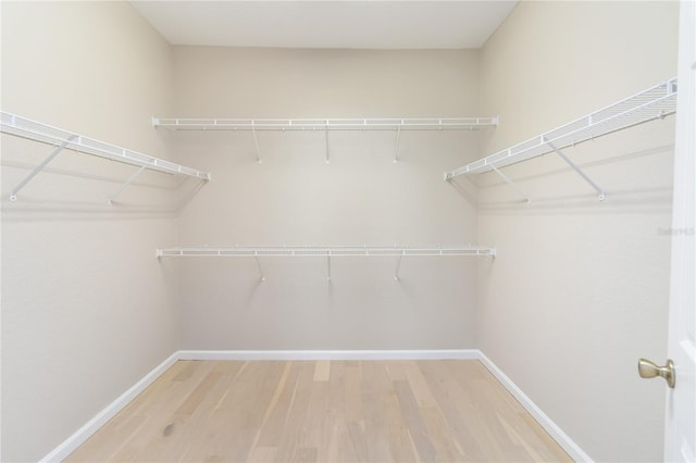 13519 Bicton Ln, Windermere, FL 34786 - walk in closet with wood finished floors