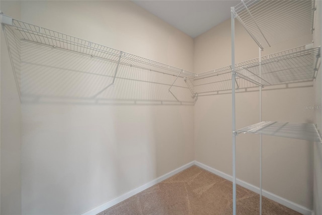489 Panaro Ln, Haines City, FL 33844 - walk in closet featuring carpet flooring