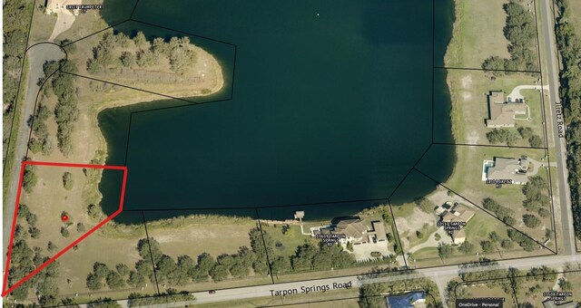 00 Trumpeter Ct, Odessa, FL 33556 - photo 4