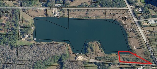 00 Trumpeter Ct, Odessa, FL 33556 - photo 6