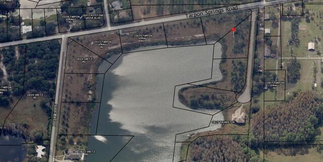 00 Trumpeter Ct, Odessa, FL 33556 - photo 7