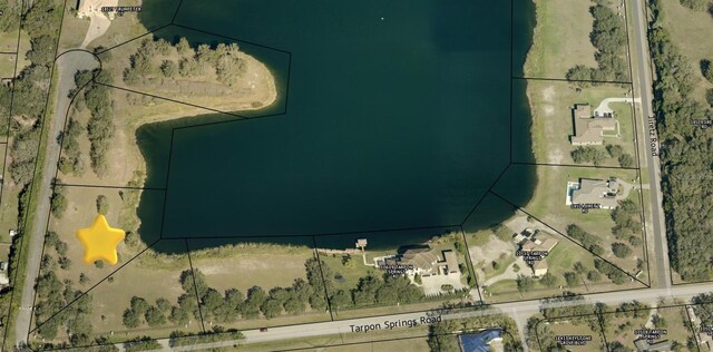00 Trumpeter Ct, Odessa, FL 33556 - photo 8