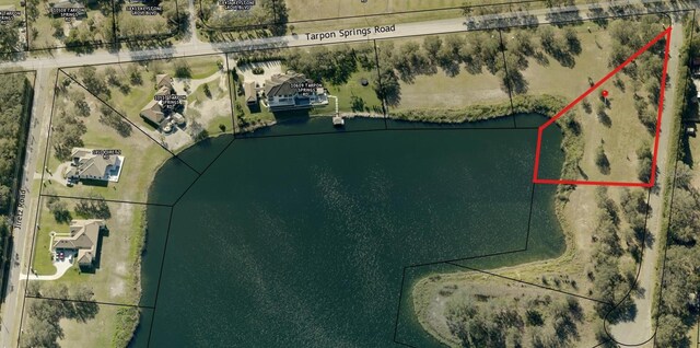 00 Trumpeter Ct, Odessa, FL 33556 - photo 9
