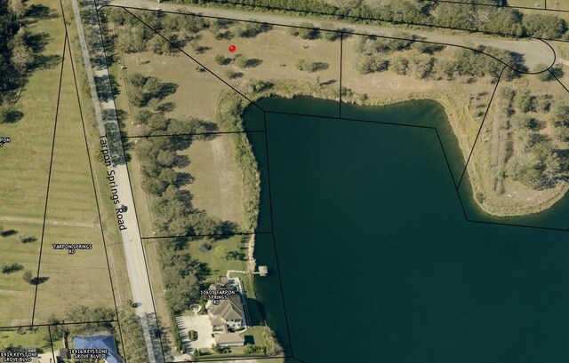 00 Trumpeter Ct, Odessa, FL 33556 - photo 11