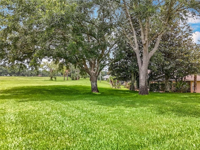 16631 Champions Ct, Clermont, FL 34711 - photo 48