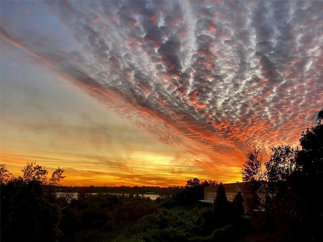 6336 Buford St Unit 207, Orlando, FL 32835 - view of nature at dusk