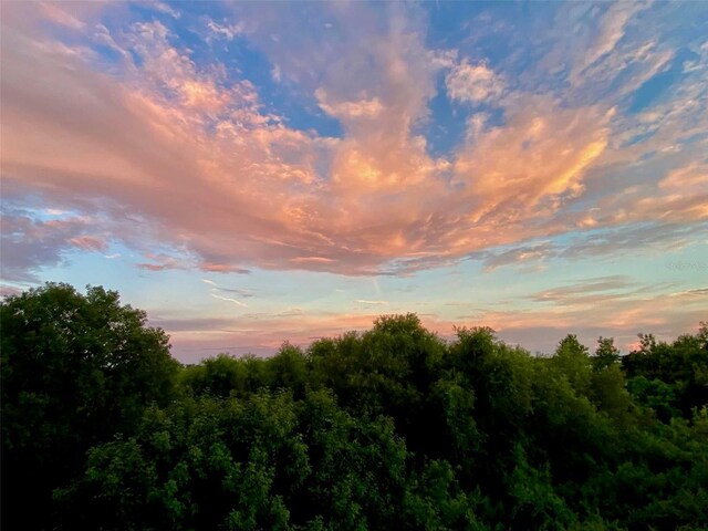 6336 Buford St Unit 207, Orlando, FL 32835 - view of nature at dusk