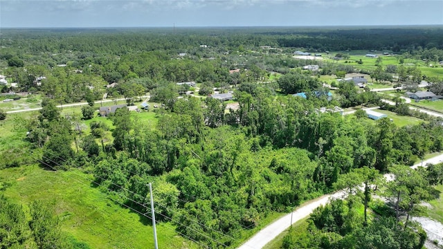 3989 Cresthill Ln, New Smyrna Beach, FL 32168 - photo 1