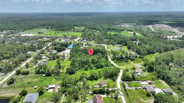 3989 Cresthill Ln, New Smyrna Beach, FL 32168 - photo 3