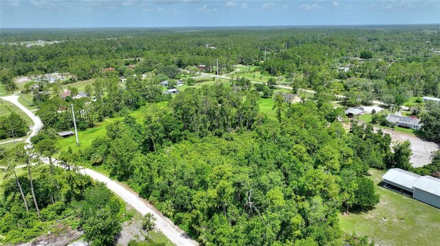 3989 Cresthill Ln, New Smyrna Beach, FL 32168 - photo 7