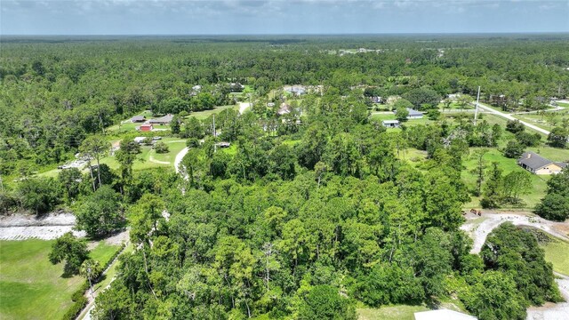 3989 Cresthill Ln, New Smyrna Beach, FL 32168 - photo 8