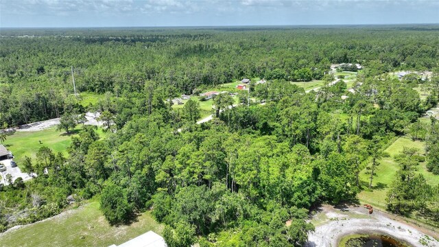 3989 Cresthill Ln, New Smyrna Beach, FL 32168 - photo 9