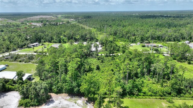 3989 Cresthill Ln, New Smyrna Beach, FL 32168 - photo 10
