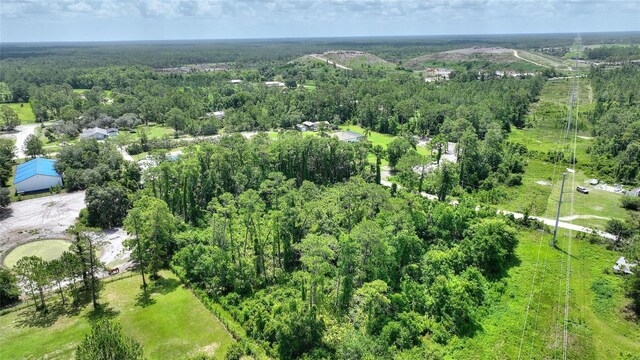 3989 Cresthill Ln, New Smyrna Beach, FL 32168 - photo 11