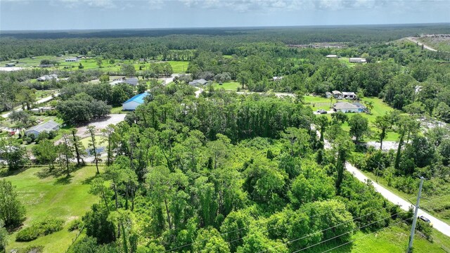3989 Cresthill Ln, New Smyrna Beach, FL 32168 - photo 12