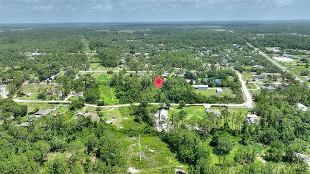 3989 Cresthill Ln, New Smyrna Beach, FL 32168 - photo 13
