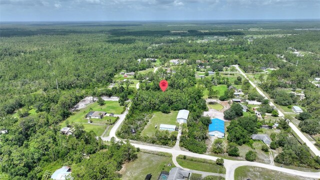 3989 Cresthill Ln, New Smyrna Beach, FL 32168 - photo 15