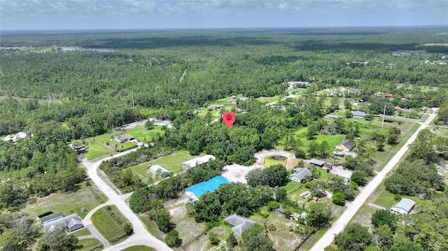 3989 Cresthill Ln, New Smyrna Beach, FL 32168 - photo 17