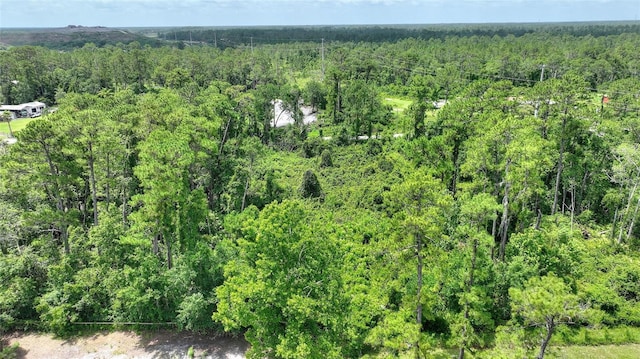 3989 Cresthill Ln, New Smyrna Beach, FL 32168 - photo 23