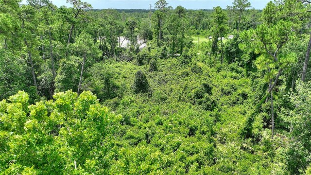 3989 Cresthill Ln, New Smyrna Beach, FL 32168 - photo 24