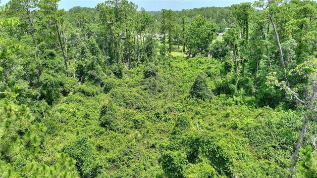 3989 Cresthill Ln, New Smyrna Beach, FL 32168 - photo 25