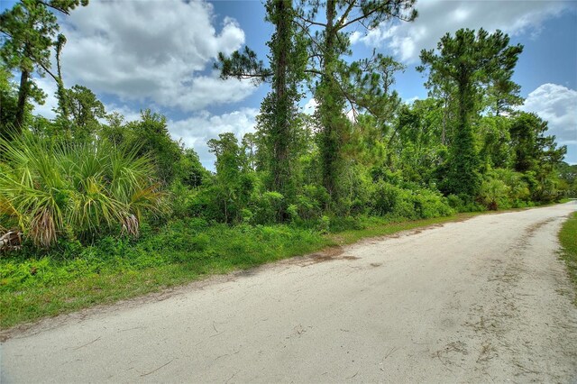 3989 Cresthill Ln, New Smyrna Beach, FL 32168 - photo 26