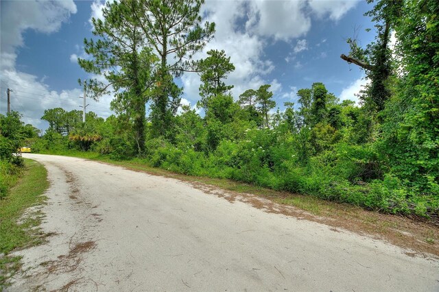 3989 Cresthill Ln, New Smyrna Beach, FL 32168 - photo 27
