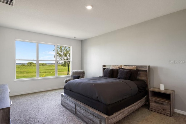 1551 Gateway Ln, Kissimmee, FL 34746 - bedroom with carpet floors and baseboards