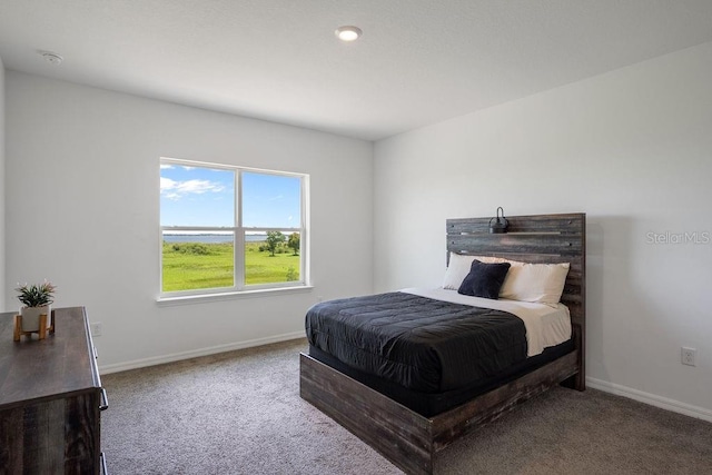 1551 Gateway Ln, Kissimmee, FL 34746 - carpeted bedroom with baseboards