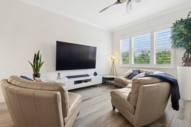 464 W Plant St, Winter Garden, FL 34787 - photo 17