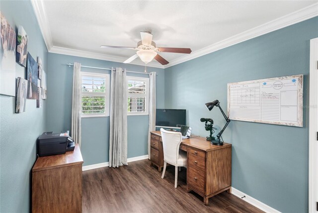 25537 High Hampton Cir, Sorrento, FL 32776 - office space with wood finished floors, a ceiling fan, crown molding, and baseboards