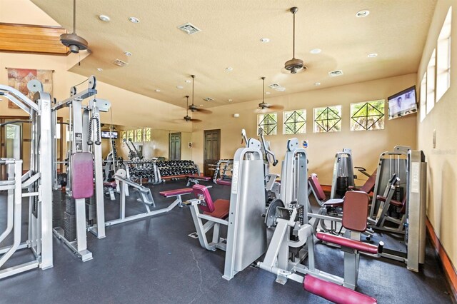 25537 High Hampton Cir, Sorrento, FL 32776 - gym with plenty of natural light, a ceiling fan, and recessed lighting