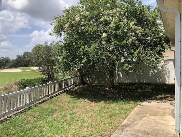 1524 Conway Ct, The Villages, FL 32162 - view of yard